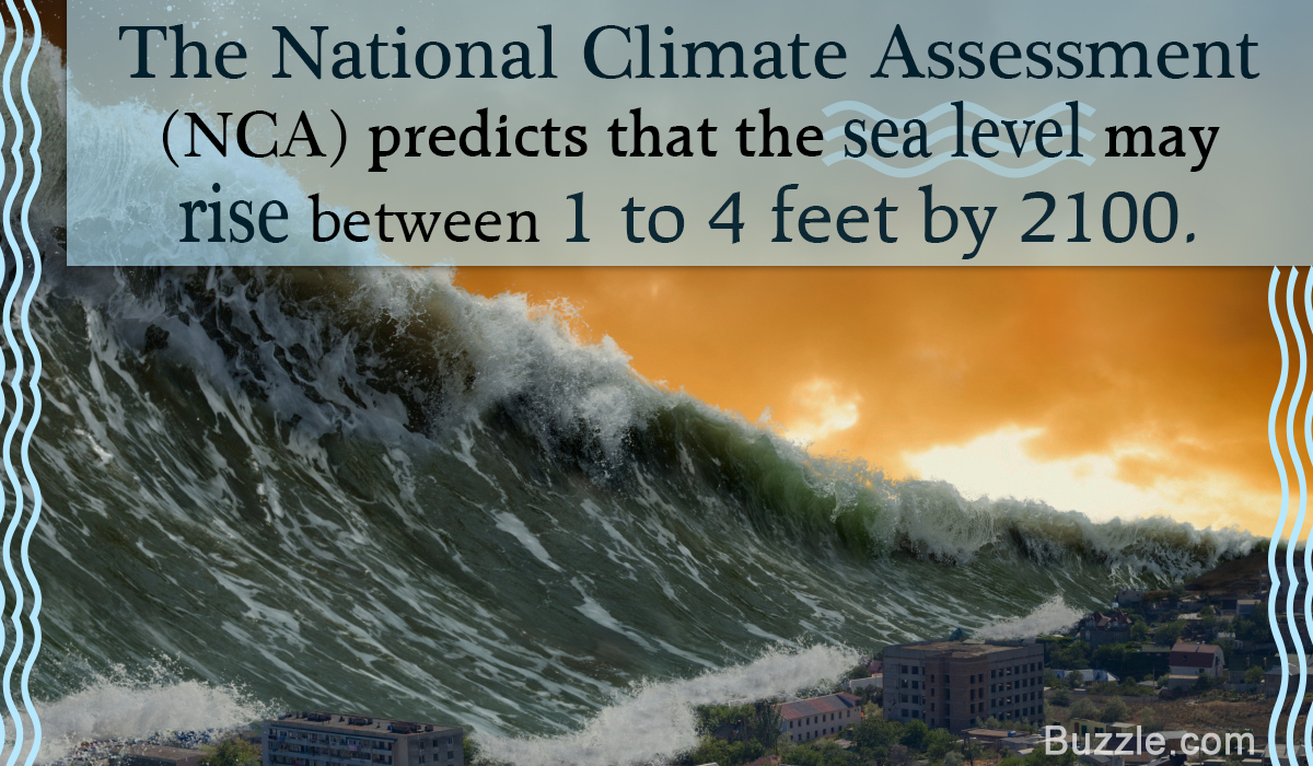 Sea Level Rise Causes Effects And Solutions You Ought To Know