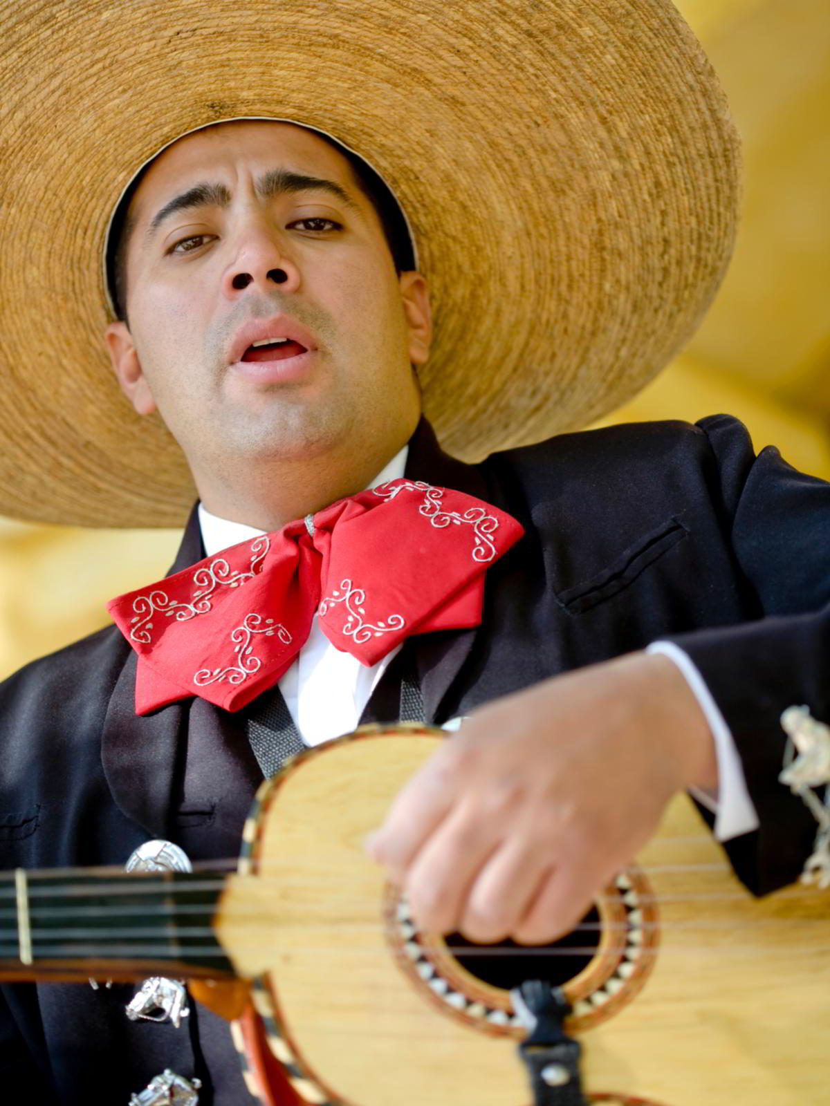 Not Many Really Knew These Mexican Wedding Traditions Until Now ...