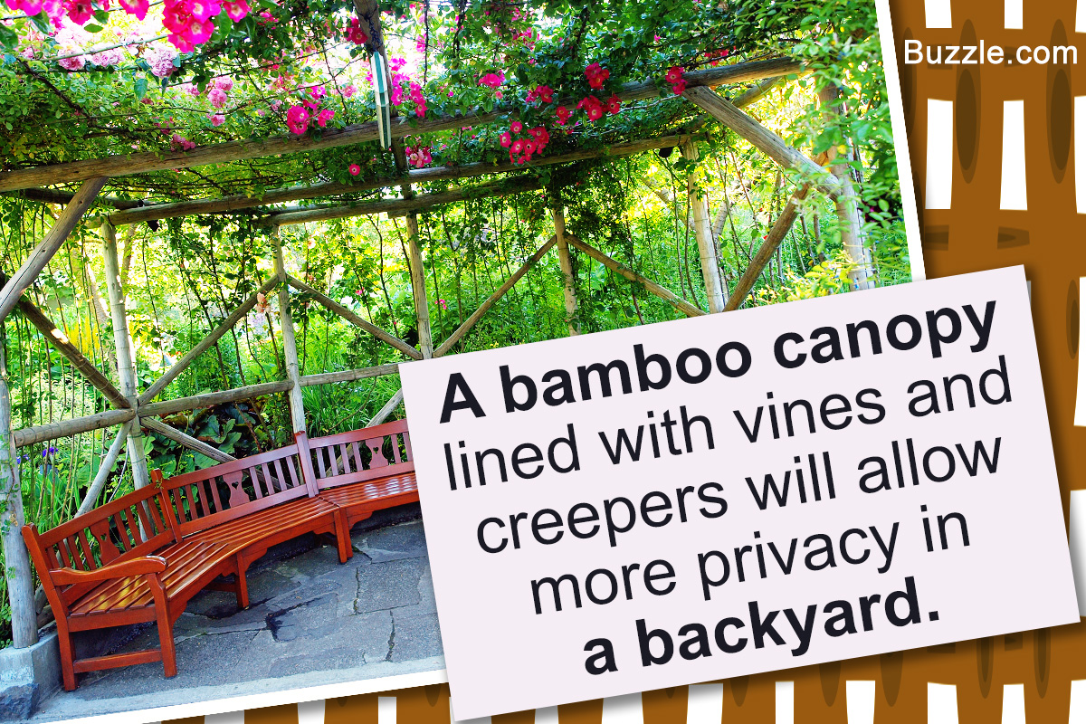 Truly Creative Ways To Increase Privacy In Your Backyard