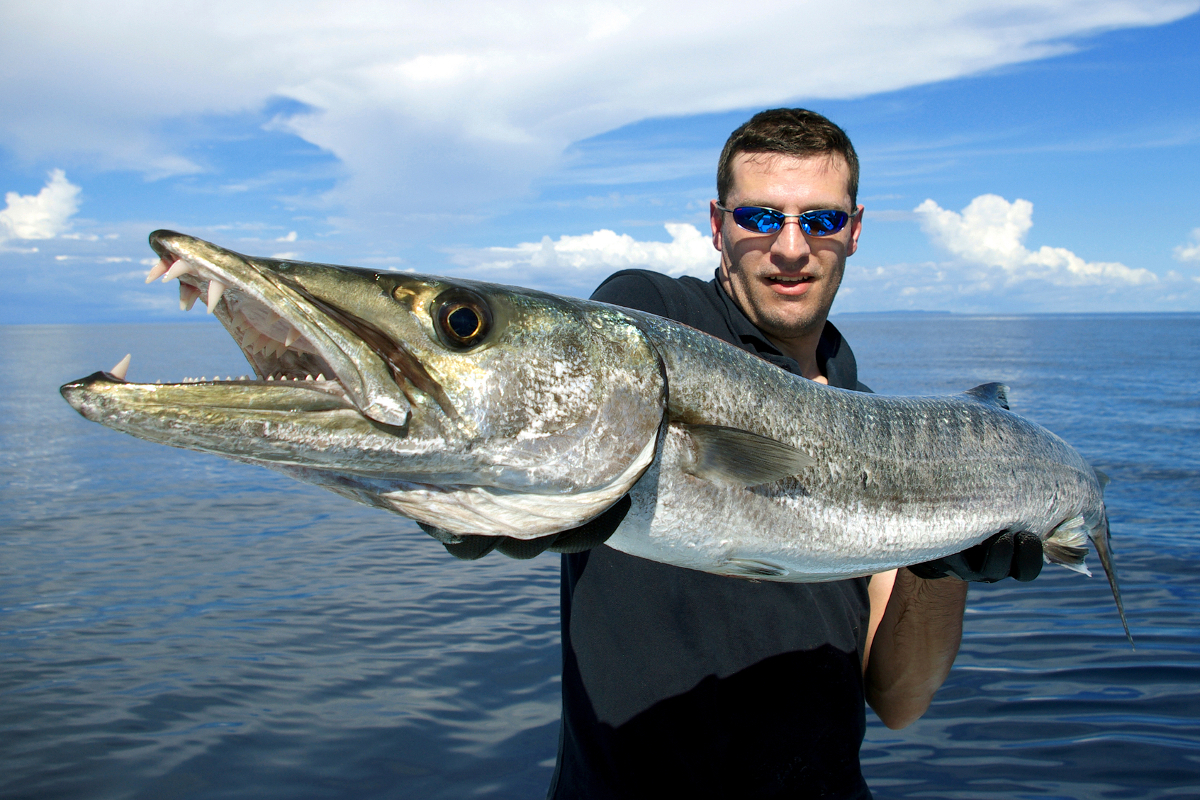 Interesting Facts About Barracuda Fish You Can't Afford to 