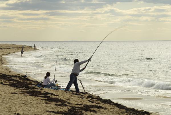 People fishing on beach