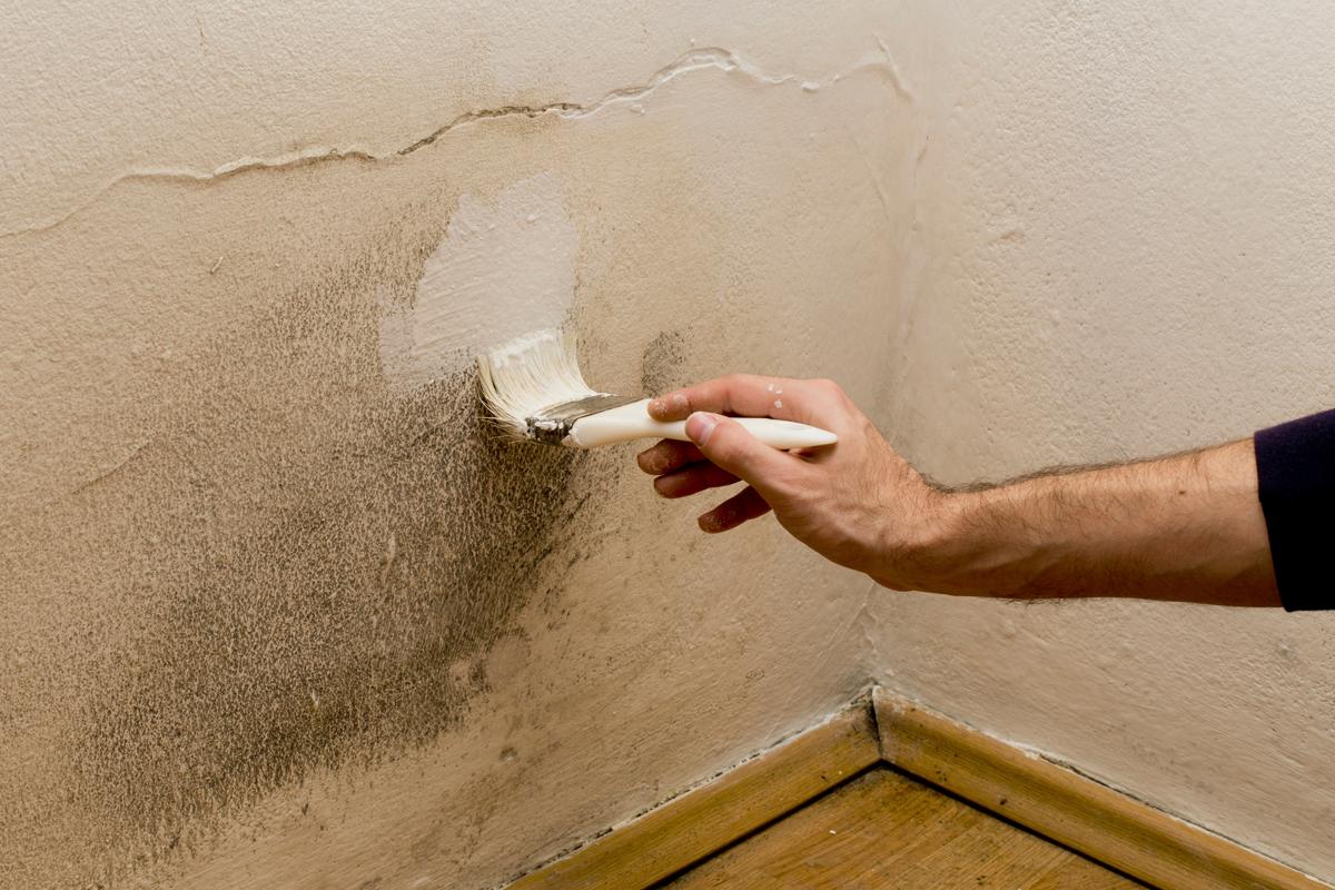 Surprisingly Easy Ways To Get Rid Of Water Stains On Ceilings