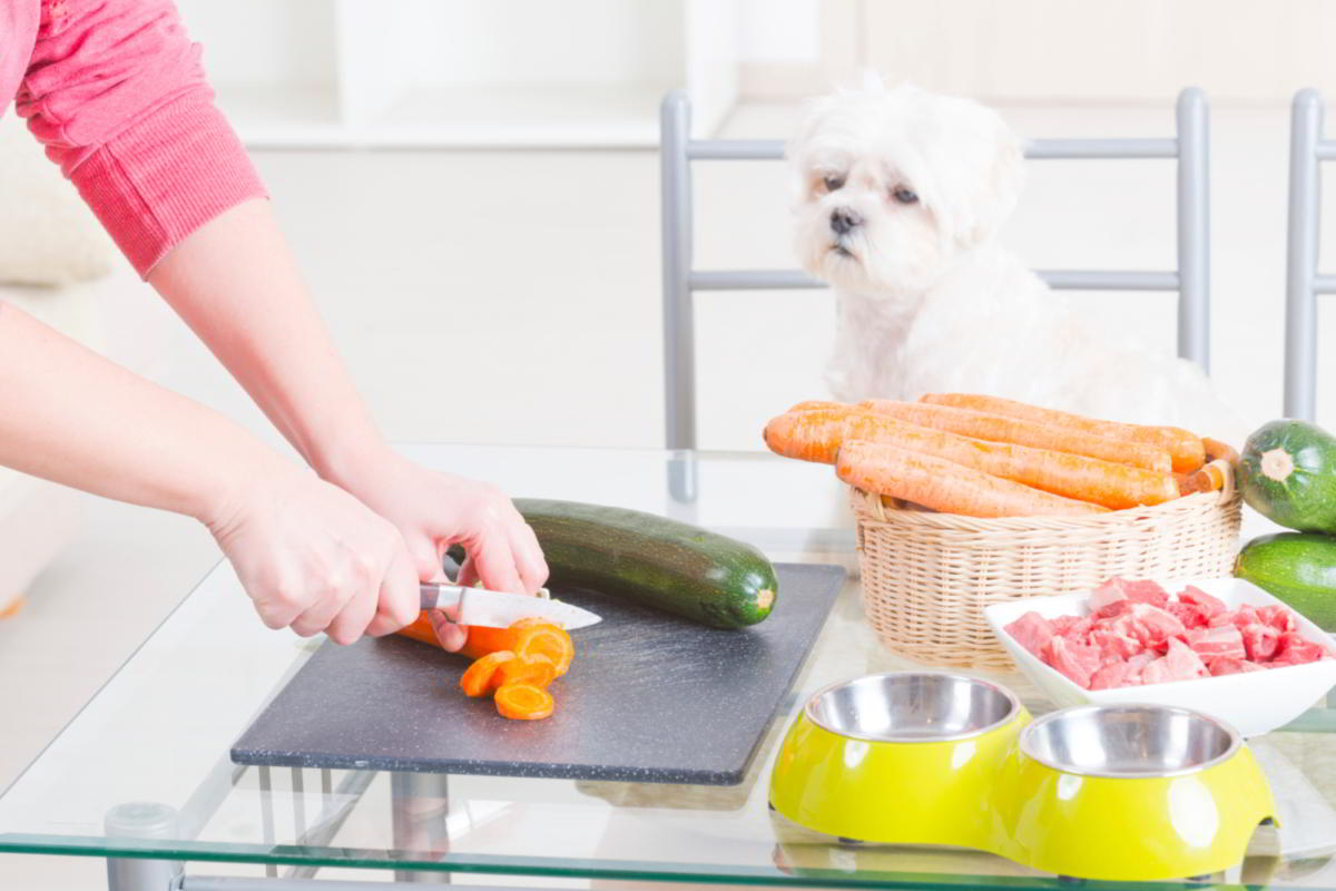 Are Carrots Good for Dogs and How Much Can You Feed Them ...