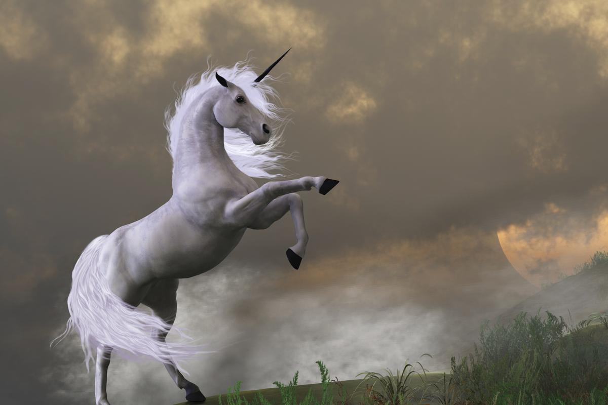 Mythical White Horse