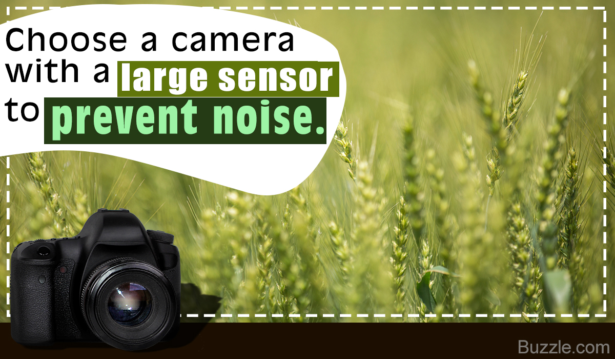 Ways to Reduce Noise in Your Photos