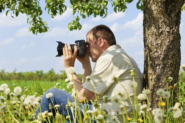 Spring nature