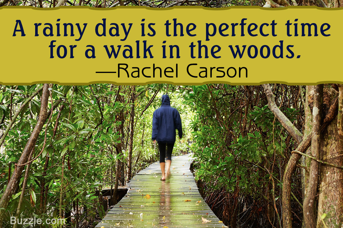 These Rainy Day Quotes Will Make You Feel Happy In An Instant Quotabulary