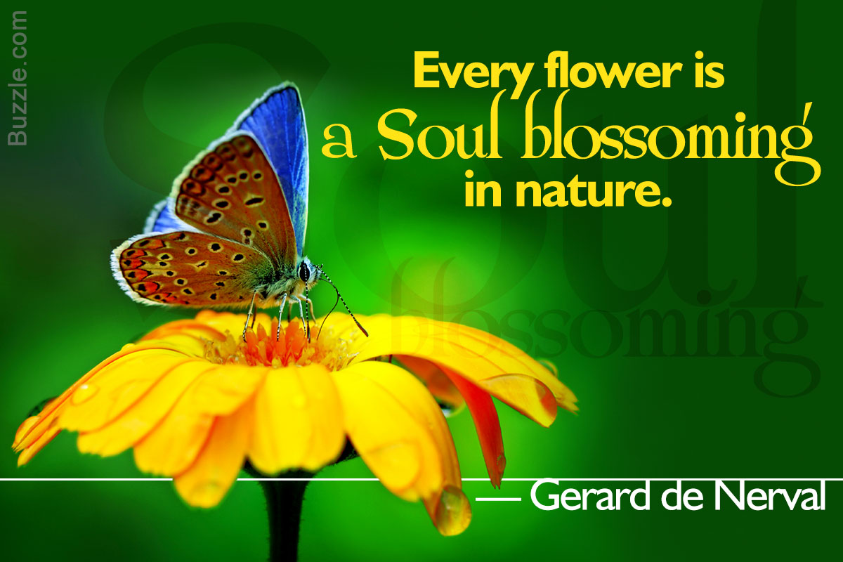 Awesome Quotes And Sayings About Flowers For A Slice Of Happy