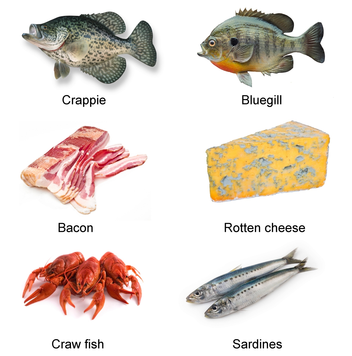 I fish перевод. Lenguado рыба. Catfish eat Fish. What do Fish eat. Рыбки примерная цена.