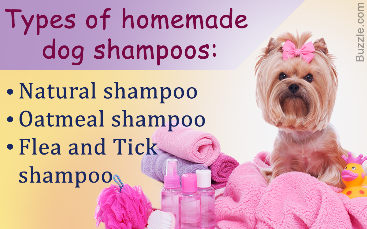 Homemade Dog Shampoos Your Pooch Will