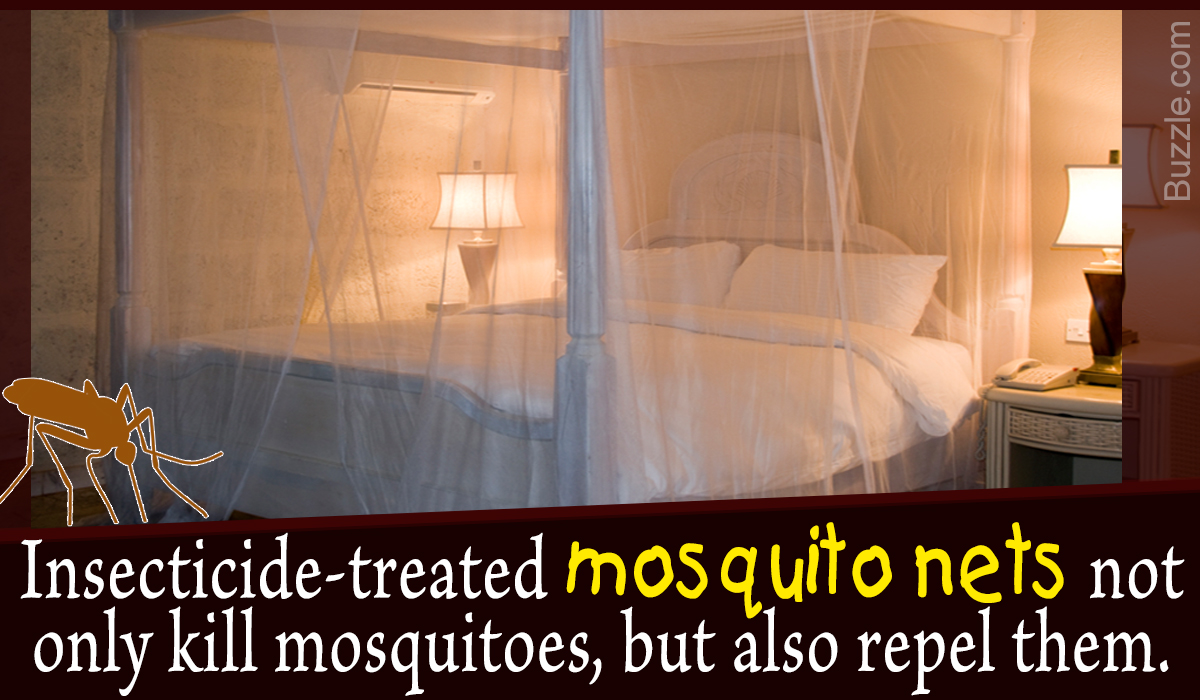 What They Never Tell You About How To Choose A Mosquito Net