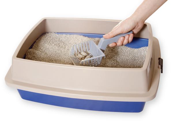 Pregnant woman cleaning the cat litter box