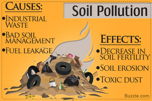 Causes and Effects of Land Pollution You're Probably ...