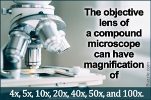 Parts of a Microscope