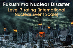 The Fukushima Daiichi Nuclear Disaster
